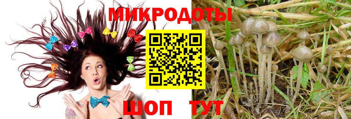 где найти наркотики  Вход с VPN  Павловский Посад  Галлюциногенные грибы прущие грибы 